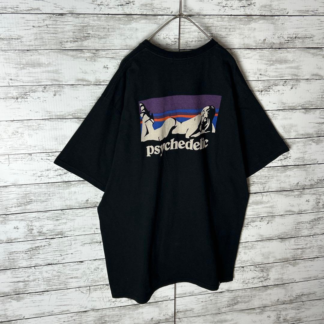 3552M【美品】ヒステリックグラマー☆ヒスガール patagonia風Ｔシャツ
