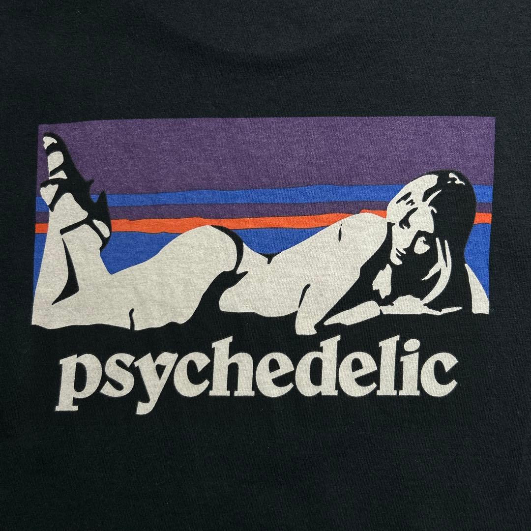 3552M【美品】ヒステリックグラマー☆ヒスガール patagonia風Ｔシャツ