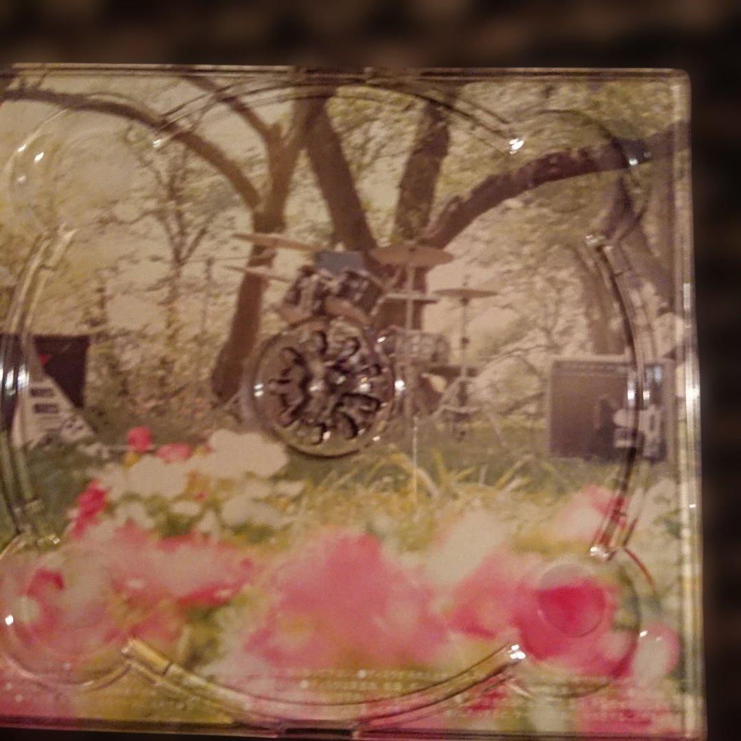 邦楽 PLASTIC GIRL IN CLOSET eye cure new see