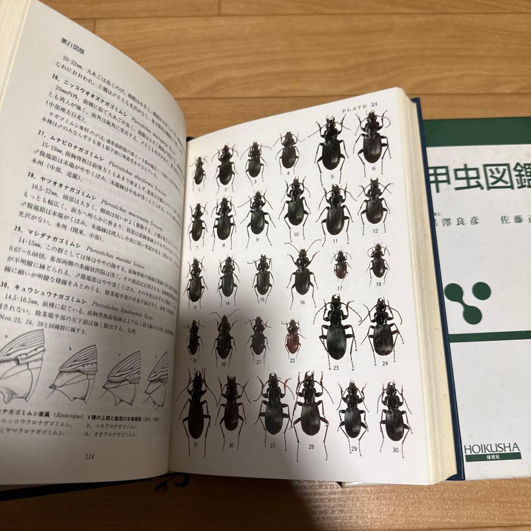 原色日本甲虫図鑑 II