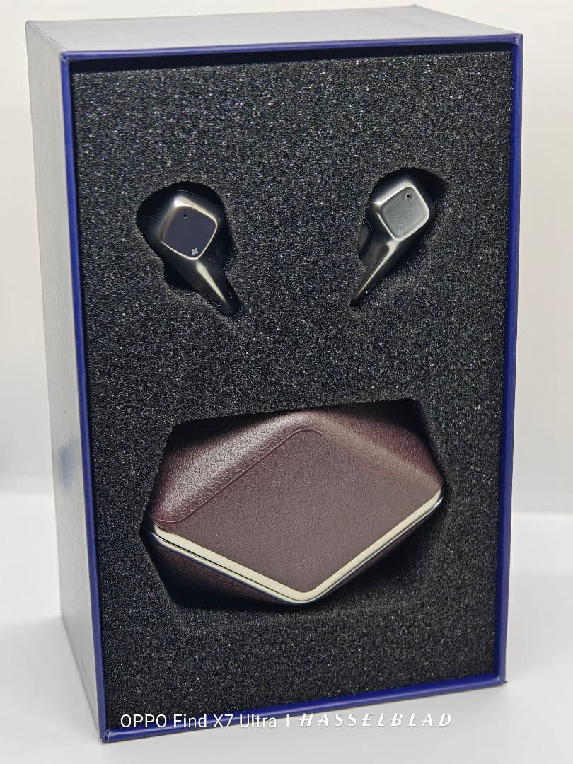 HIFIMAN Svanasr Wireless LE ワイヤレスイヤホン