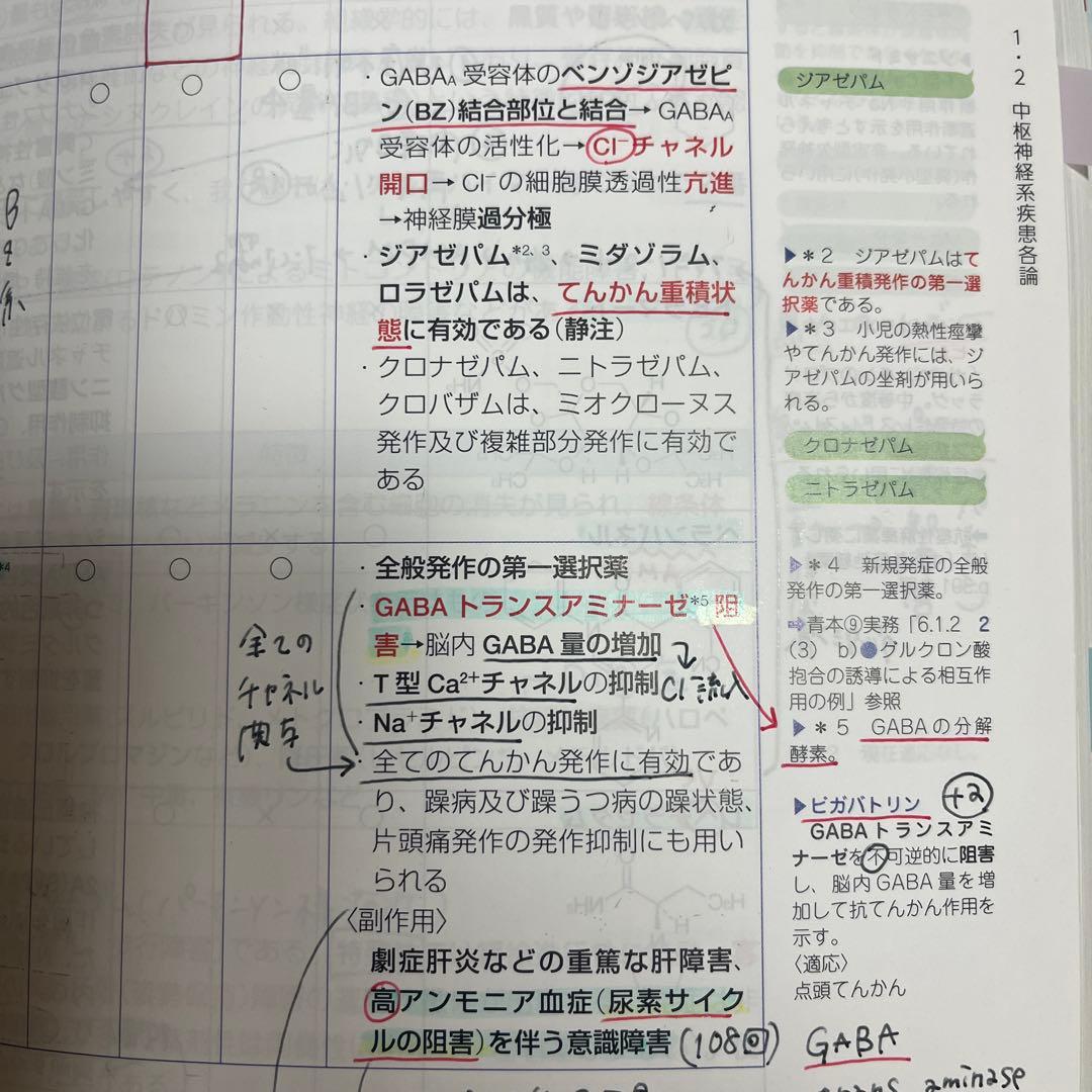 青本　薬剤師国家試験参考書　第109回　改訂第13版