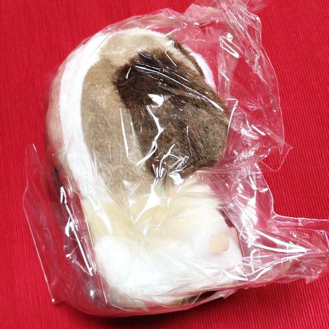 【ヨーゼフ×ベビチッチ】　新品