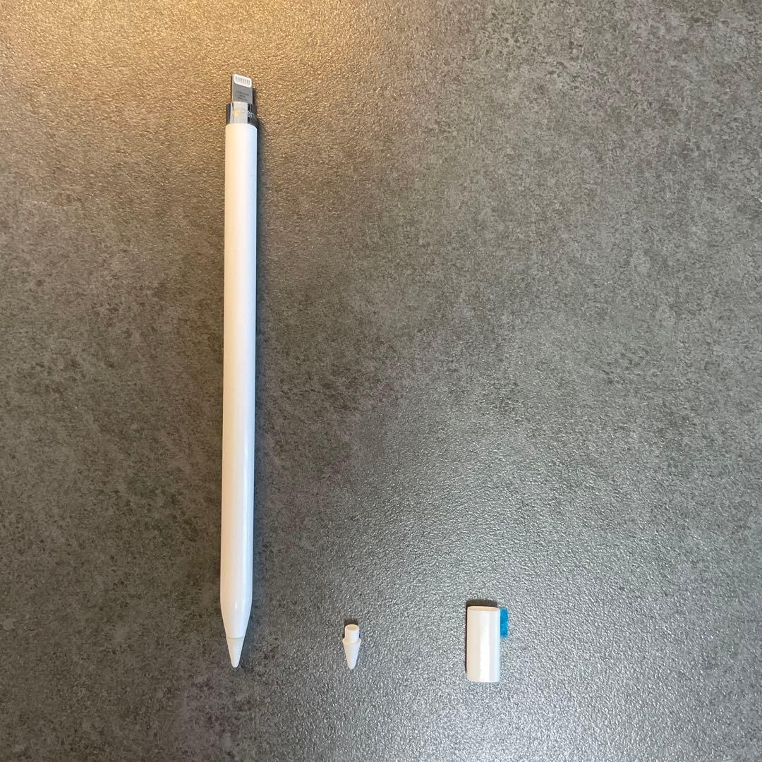 た*ん様 Apple iPad ゴールド 本体 + Apple Pencil