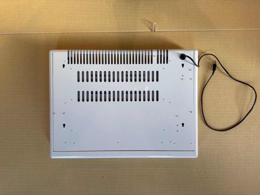 Inter Central 壁がけ パネルヒーター NY-750