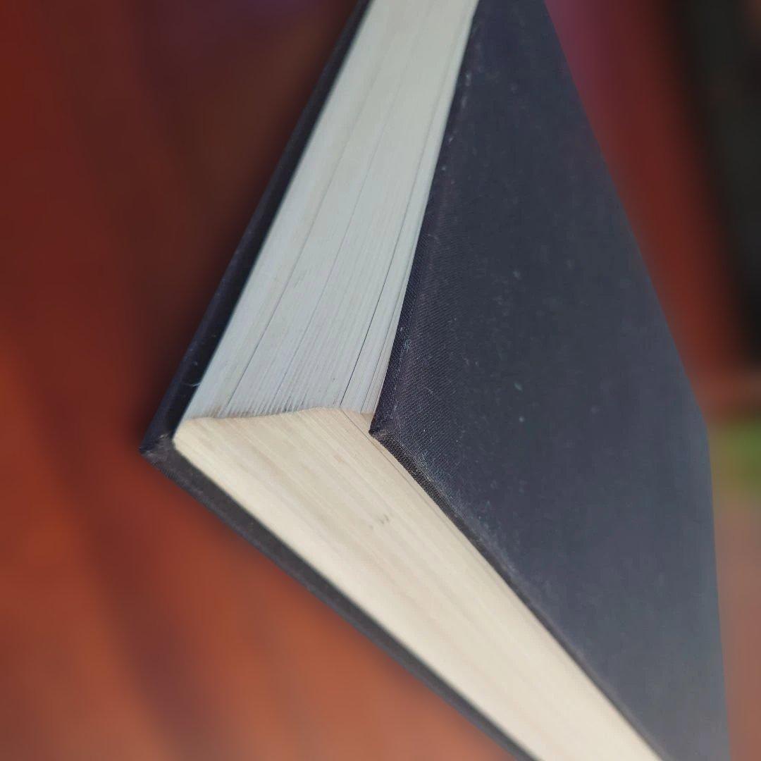 希少 Futurism & Futurisms 未来派図録 ポントゥス・フルテン