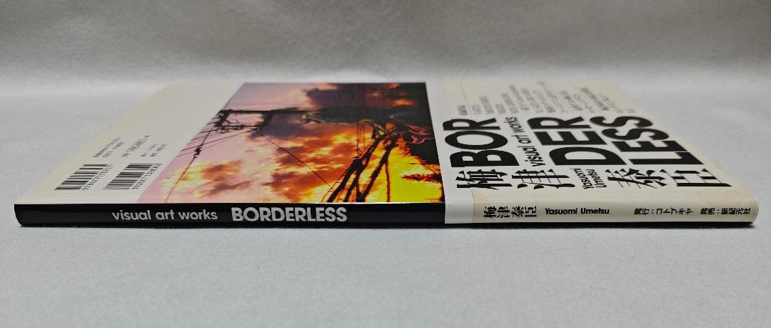 梅津泰臣 visual art works BORDERLESS
