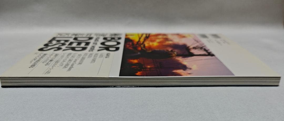 梅津泰臣 visual art works BORDERLESS