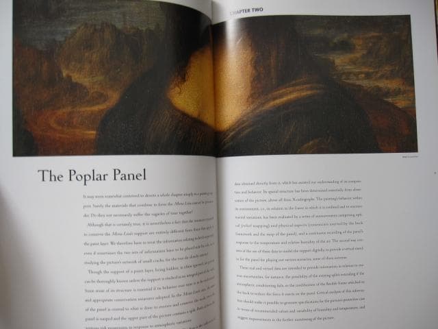 アート・デザイン・音楽 Mona Lisa Inside the Painting