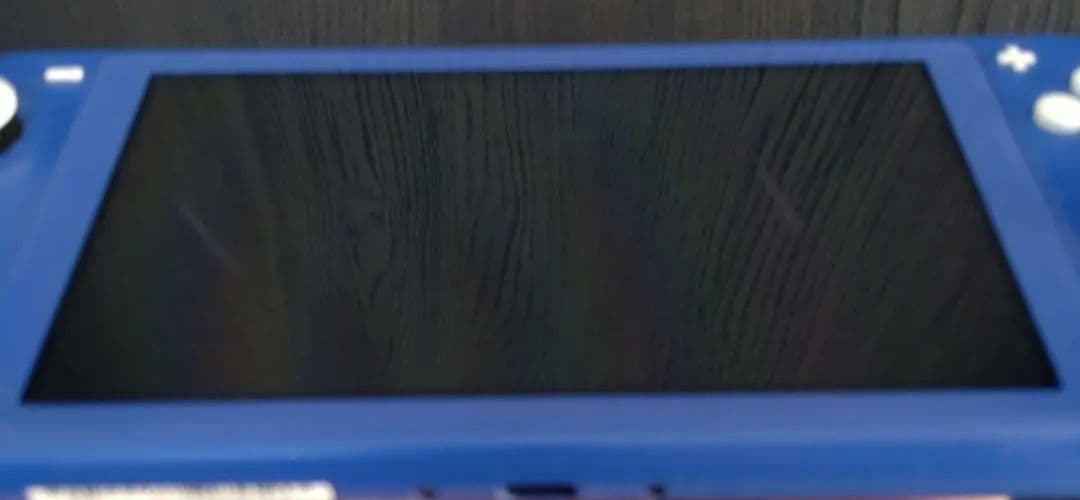 Nintendo Switch Lite 青 ジャンク品