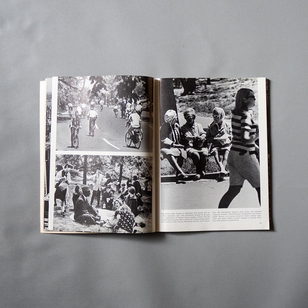 人文 \"New York in the Sixties\" used Book