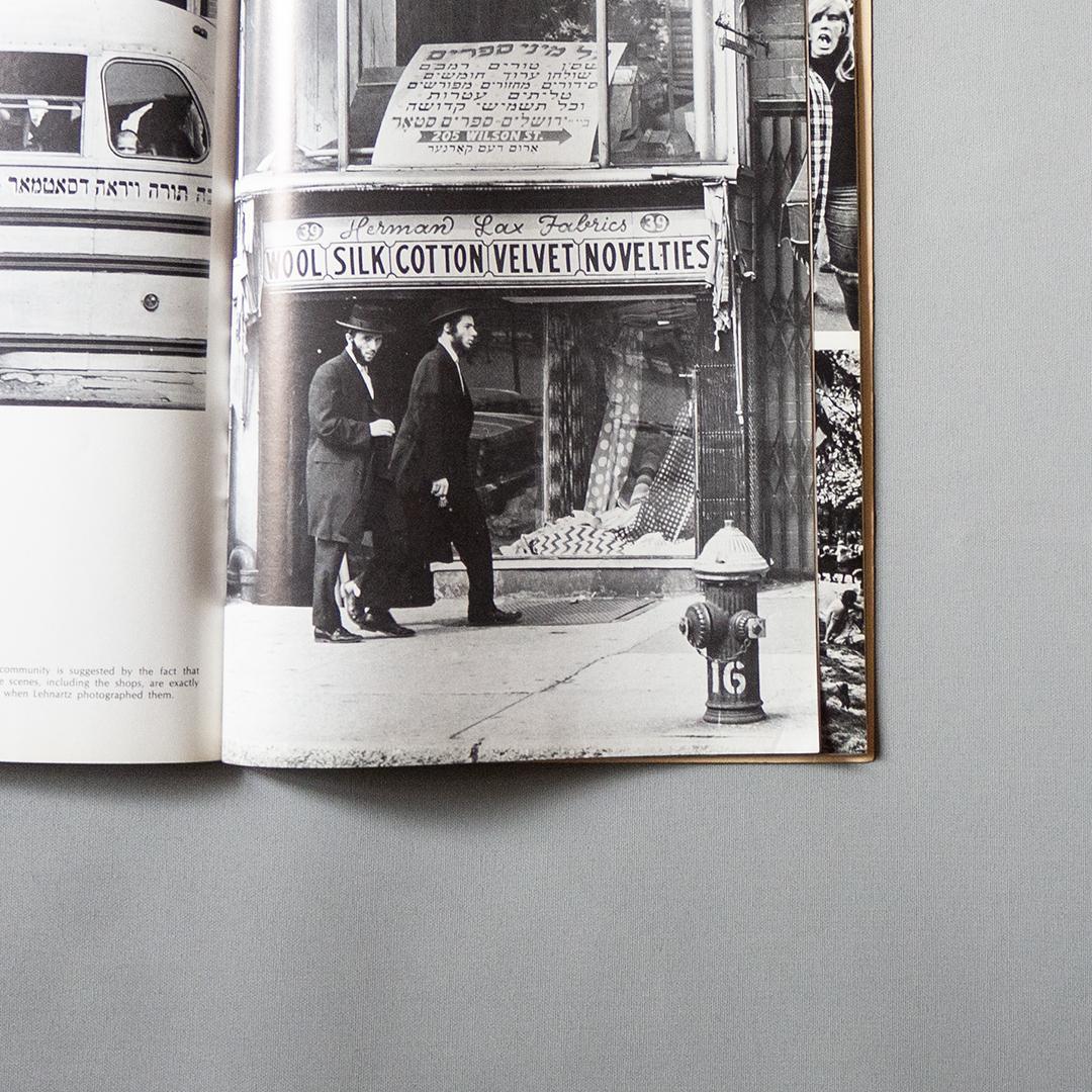 人文 \"New York in the Sixties\" used Book