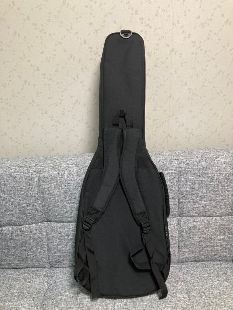 Aria Pro II / PE-F80 LTD GDTP イシバシ楽器限定
