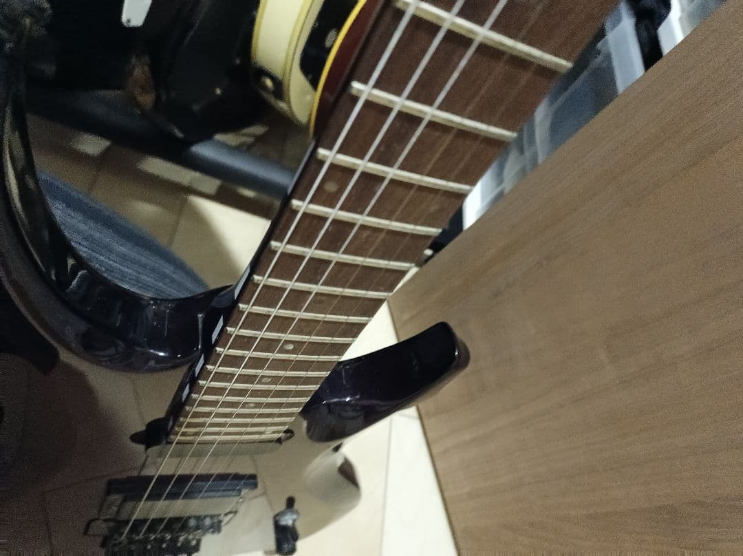 GRASSROOTS G-P-65A AIJIモデル FOREST ギター