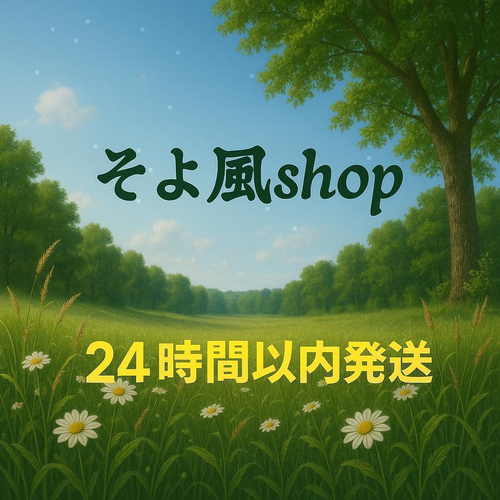 【スマイル様2本セット】イヴサンローラン モンパリ ボディーローション