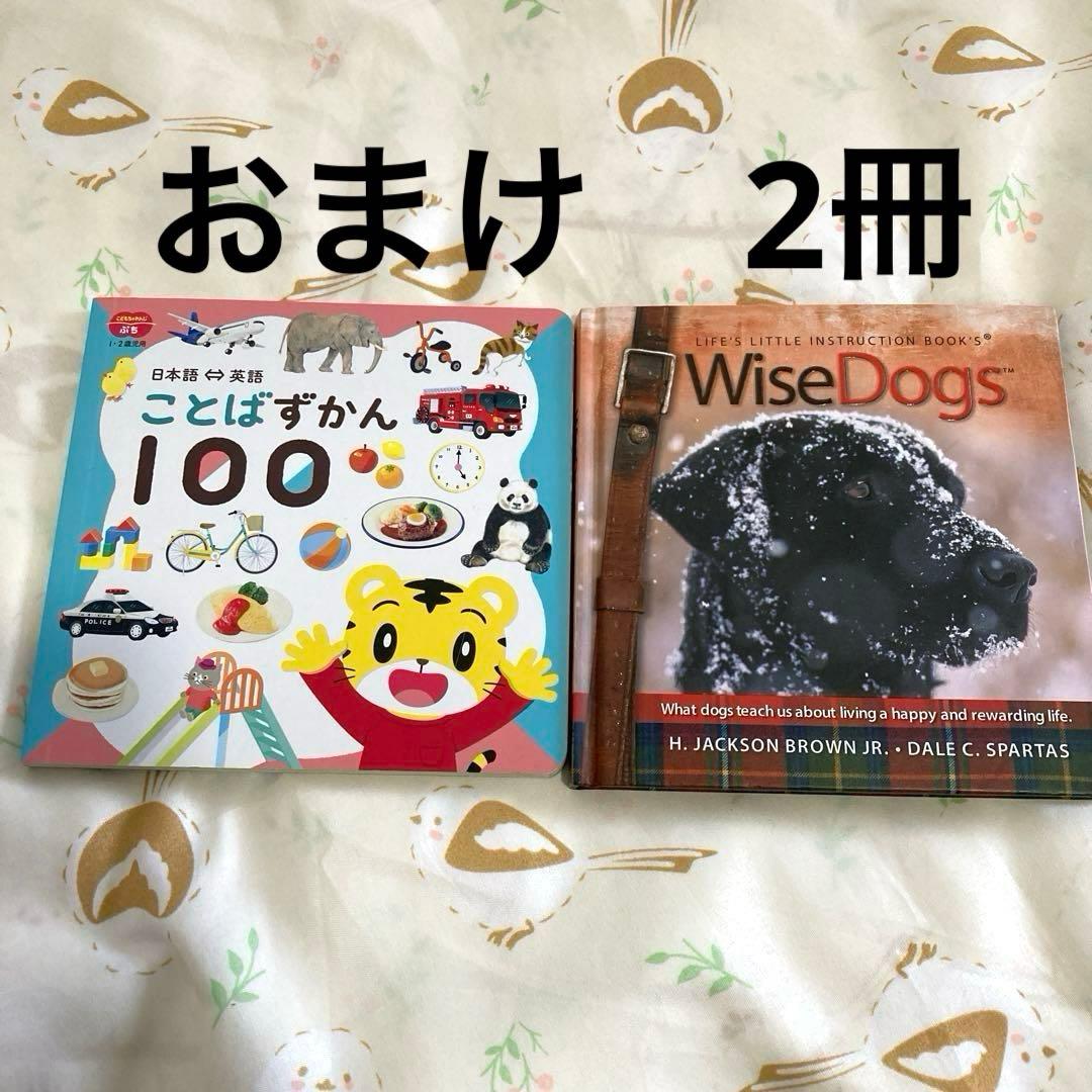 英語　絵本　14冊＋2冊おまけ　まとめ　洋書