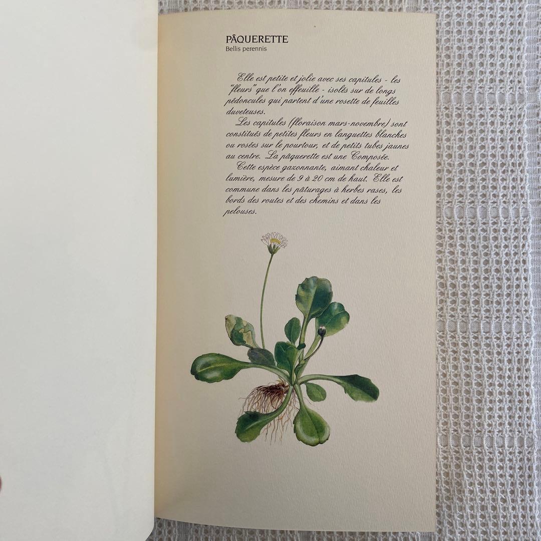 【希少】美品 フランス植物図鑑　洋書　古書