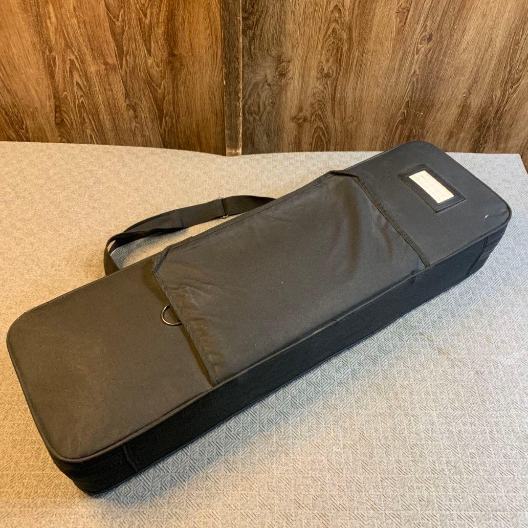 G269\" 沖縄 三味線 本体 ヘビ柄 専用ケース付き