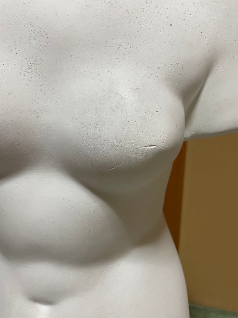 裸婦像　石膏トルソー