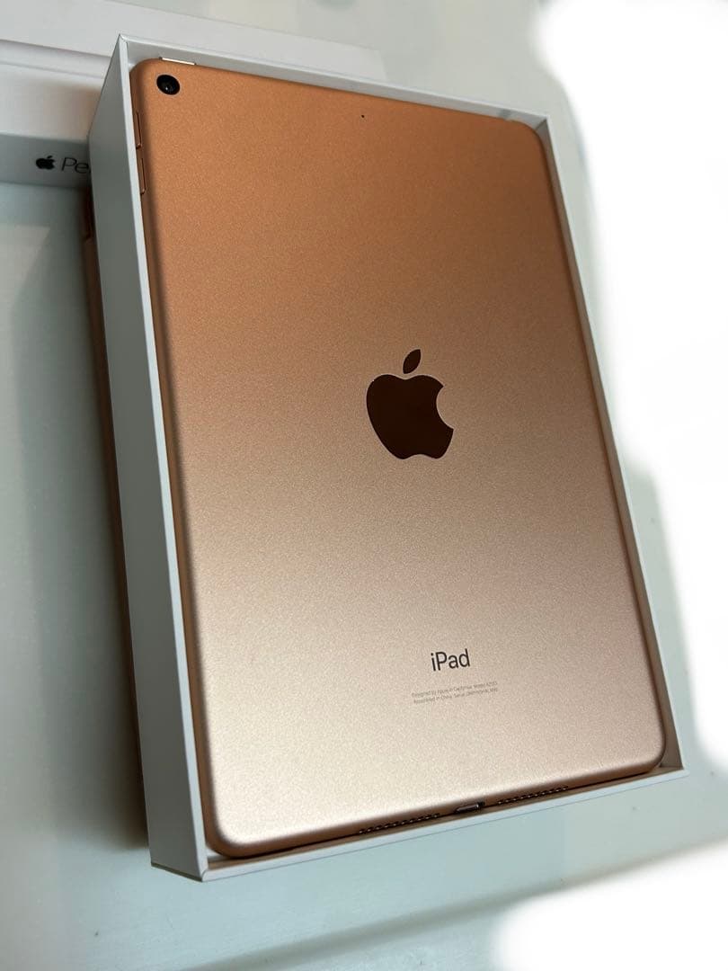 iPad mini 第5世代Wi-Fi Apple Pencil iPadケース