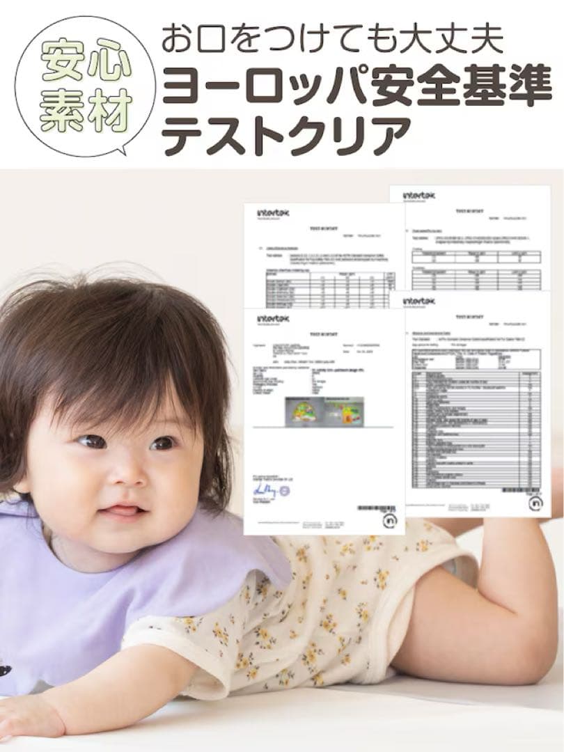 日本育児　はらぺこあおむし アクティビティ プレイジム　専用ケース付き