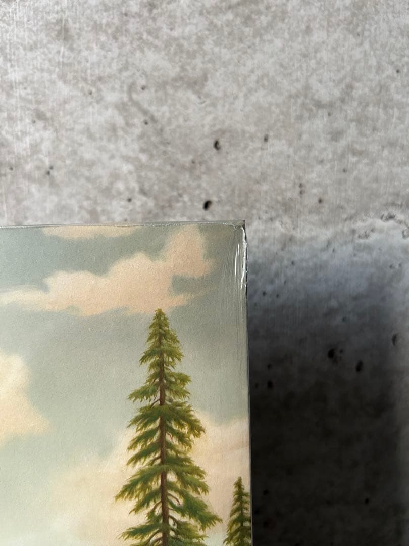 新品未開封　Tyler, the Creator Wolf レコード
