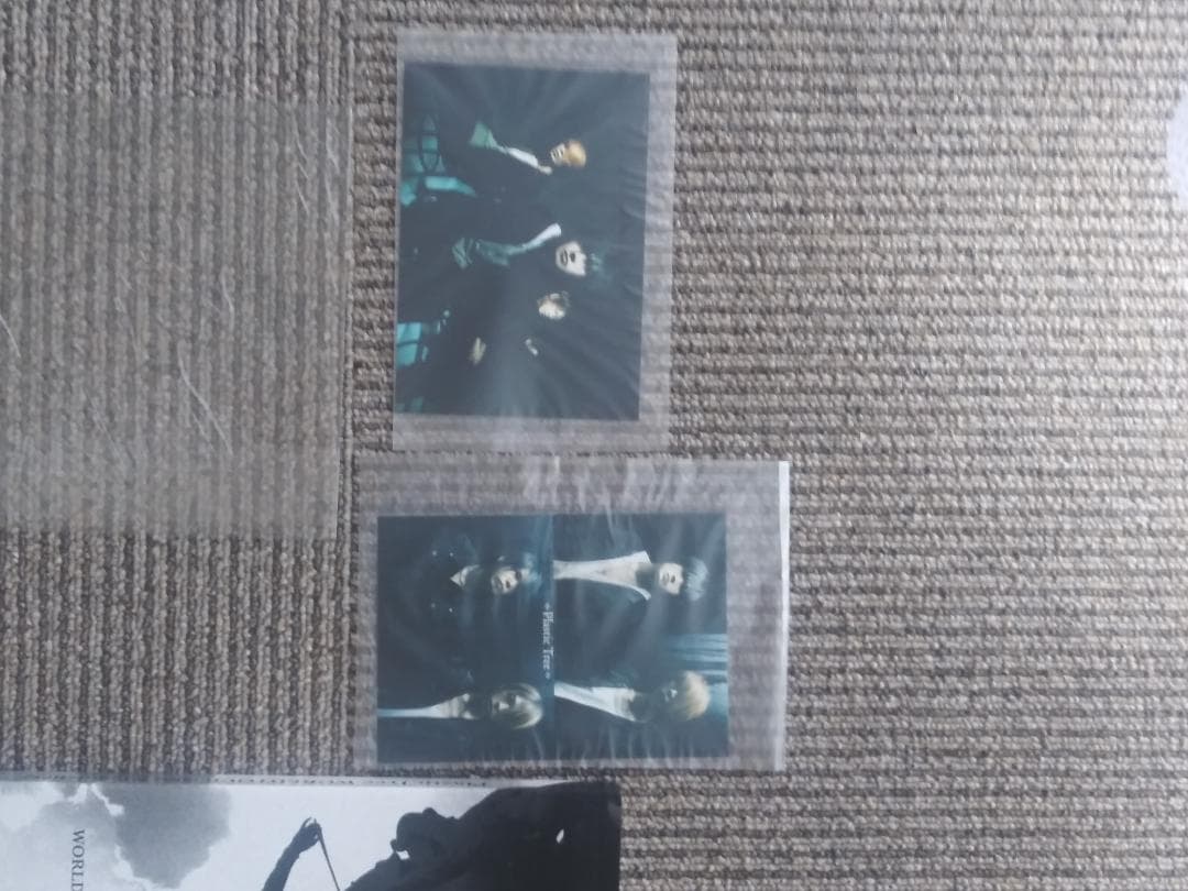 その他 Plastic Tree WORLDTOUR 2006 [chandelier]