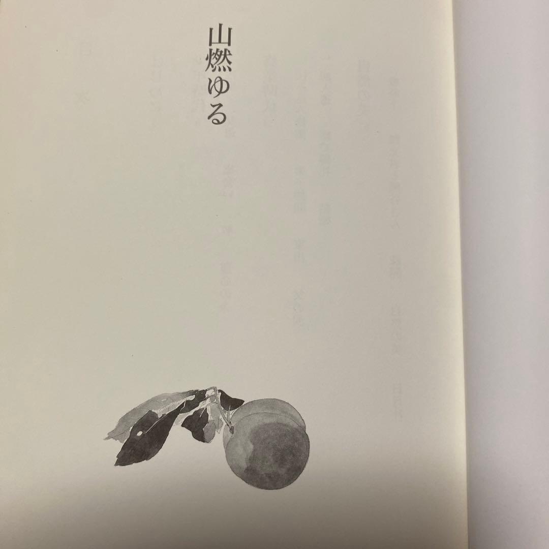 値下げ！文化勲章[サイン！初版]山燃ゆる　画業70年！奥田元宋自伝　毛筆署名　帯