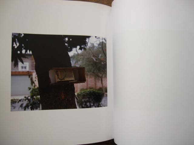 Rua Stan Getz　Andre Cepeda