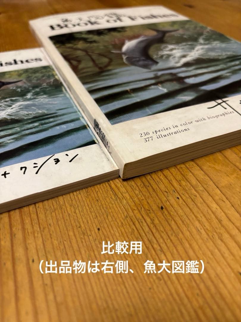 サカナクション 魚図鑑 完全生産限定盤 プレミアムBOX 魚大図鑑　3CD欠品