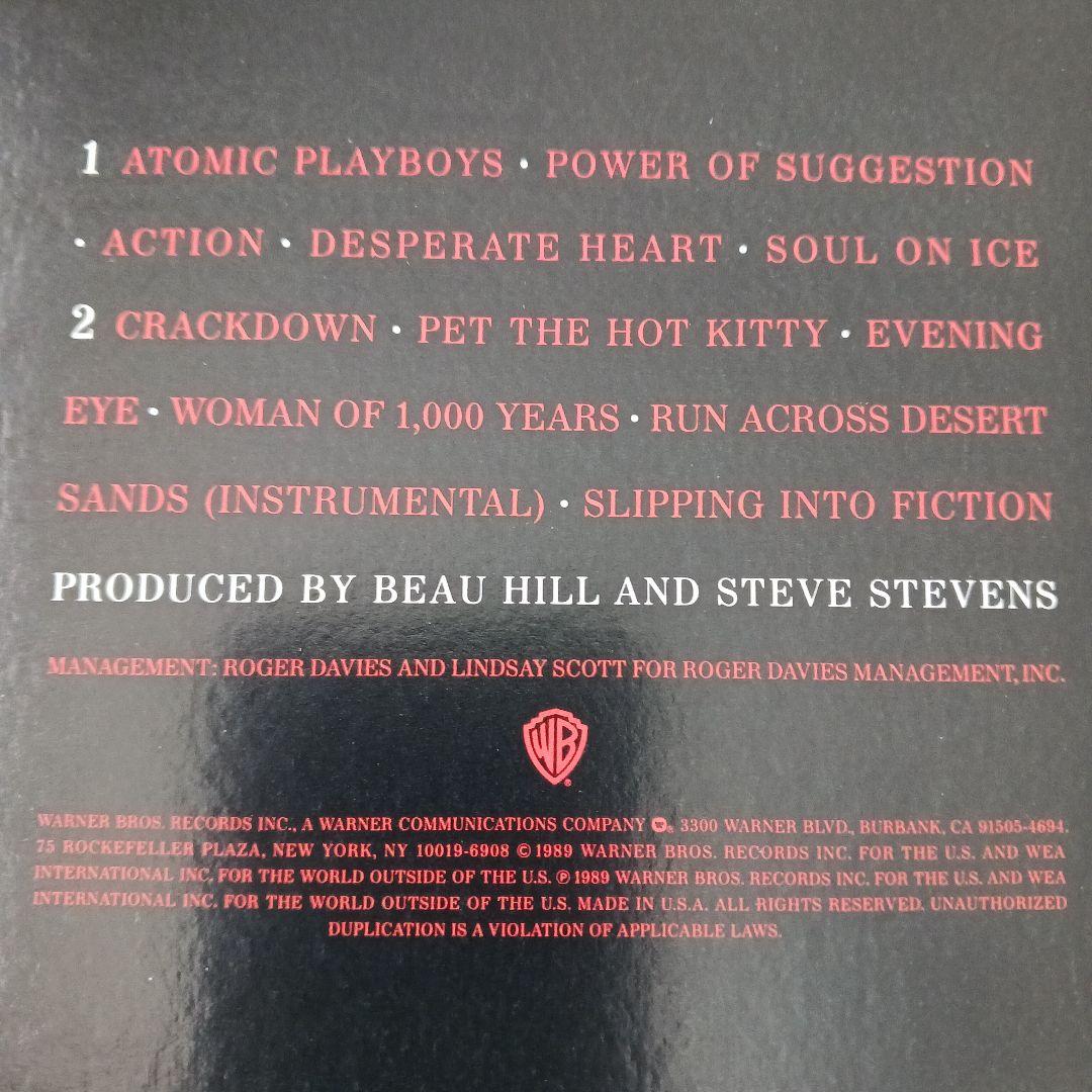 Steve Stevens Atomic Playboys US盤レコード
