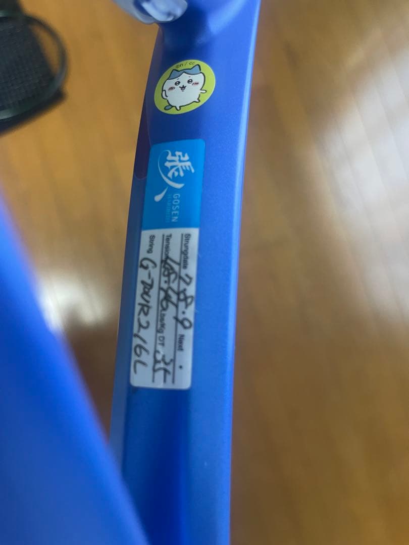 ヨネックス EZONE 100 G2 現行モデル
