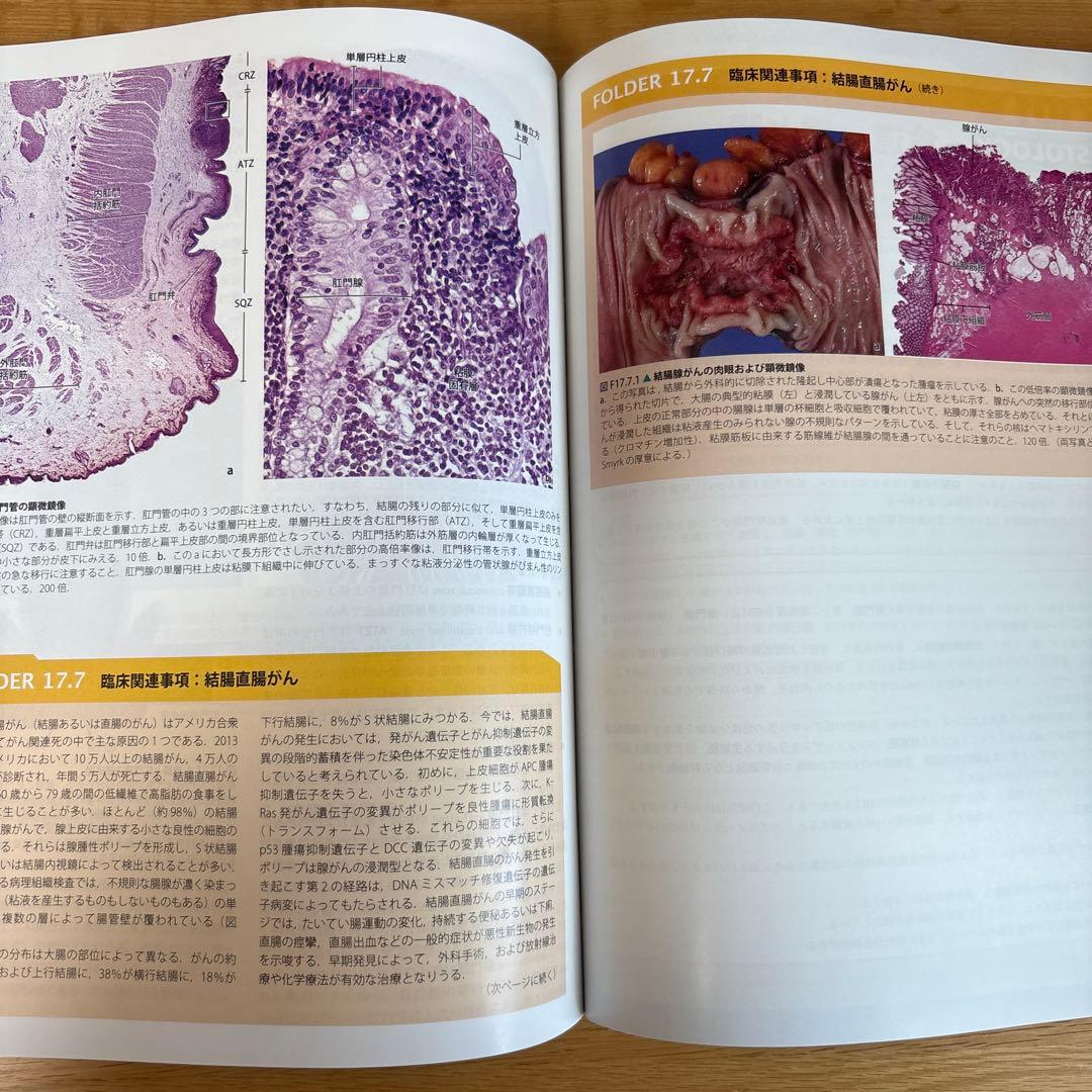 Ross組織学(原書第7版)、骨学実習の手引き