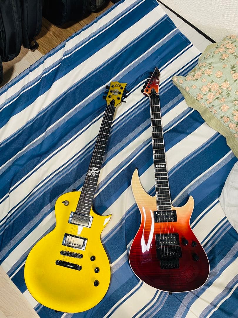 ESP LTD EC-2025 50th Anniversary世界限定500本