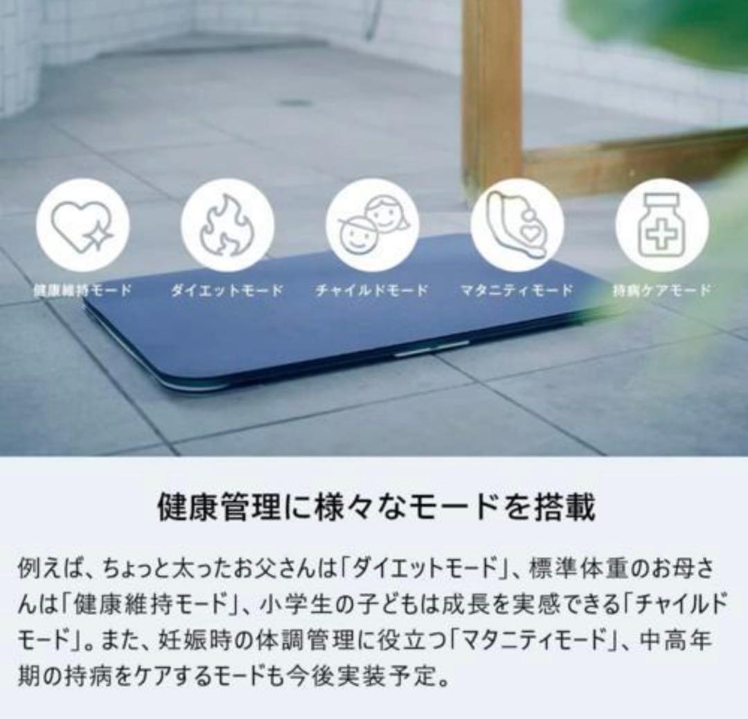 issin スマートバスマットSmart Bath Mat 新品未使用・未開封