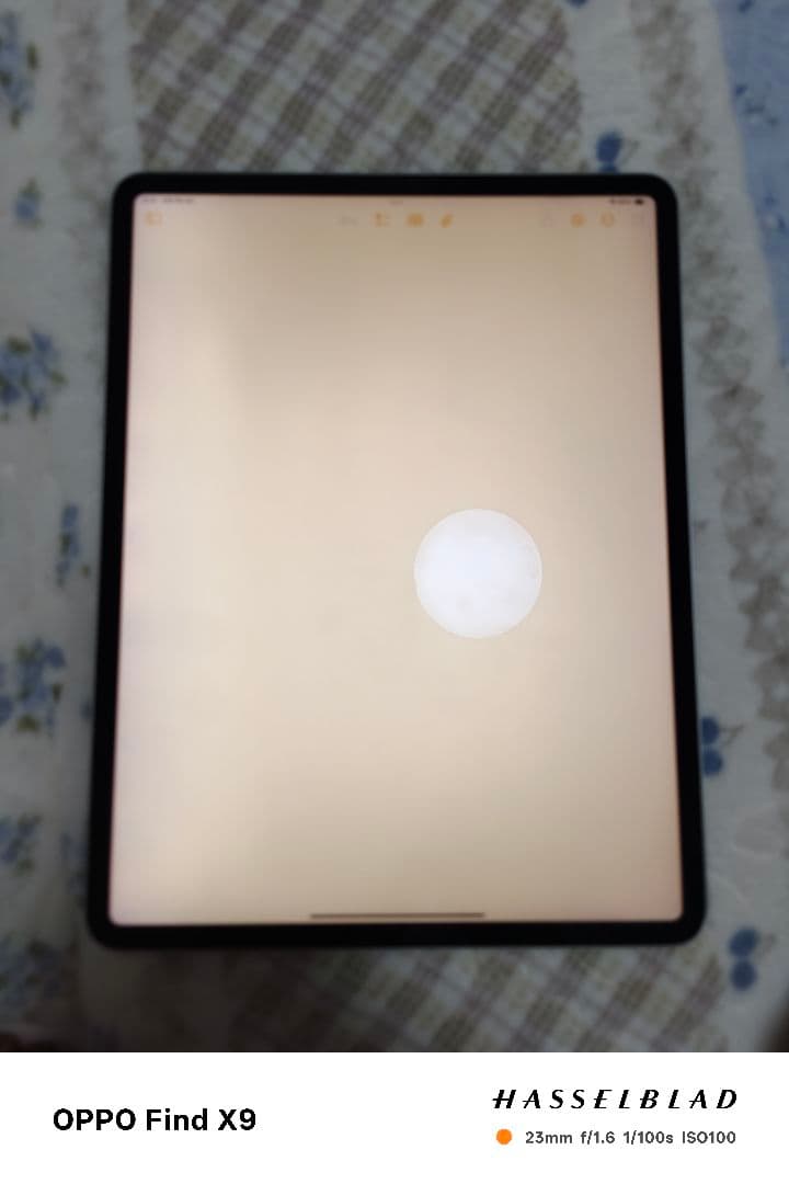 Apple iPad pro 12.9 第4世代 128gb
