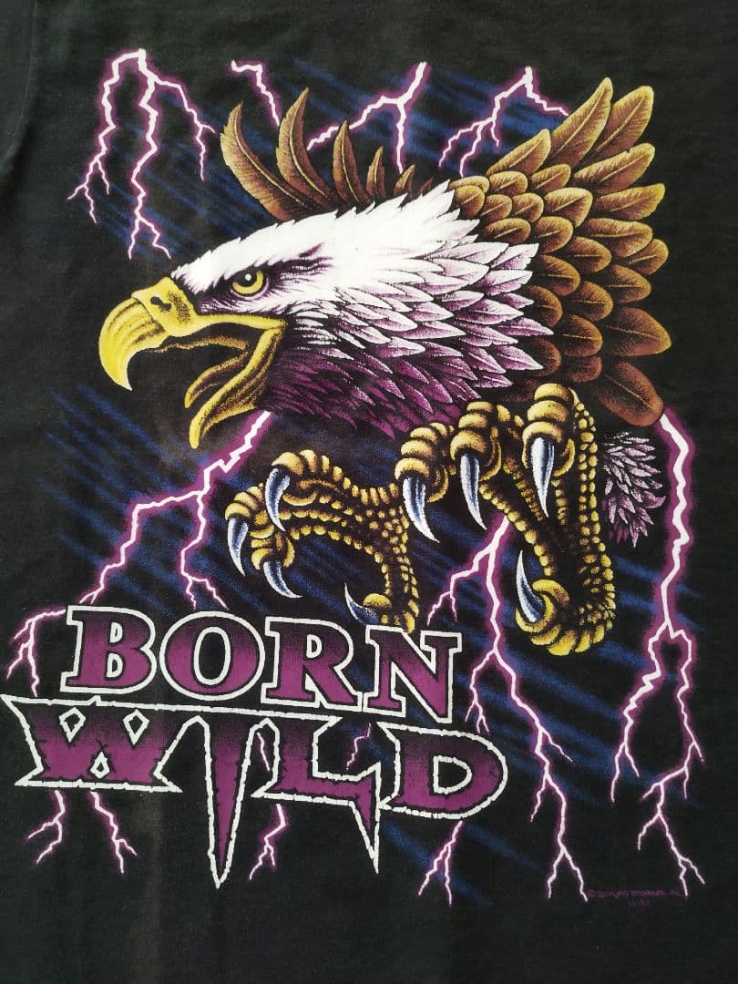フルーツオブザルームBEST 米国製 M サイズビンテージ 鷲 プリントTシャツ