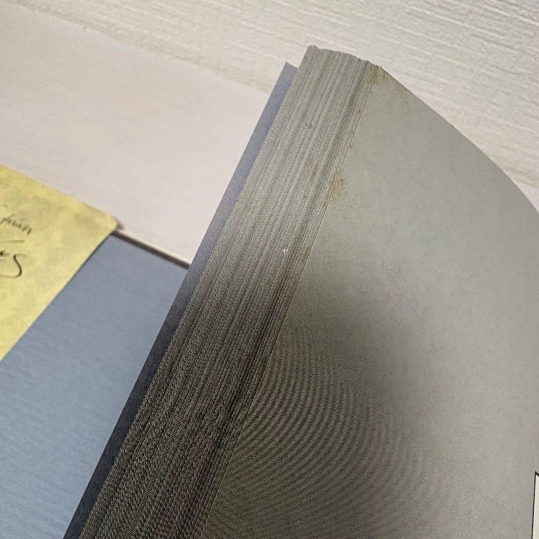 【洋書】デヴィッド・シルヴィアン Perspectives
