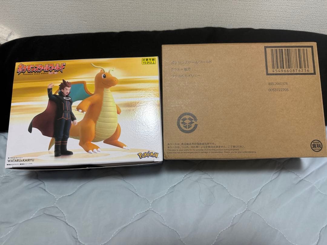 ポケモンスケールワールド ワタル & カイリュー