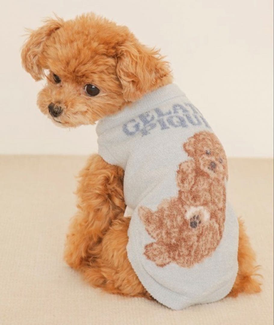 【tomo. 】GELATO PIQUE 犬服セット プードル　Mサイズ