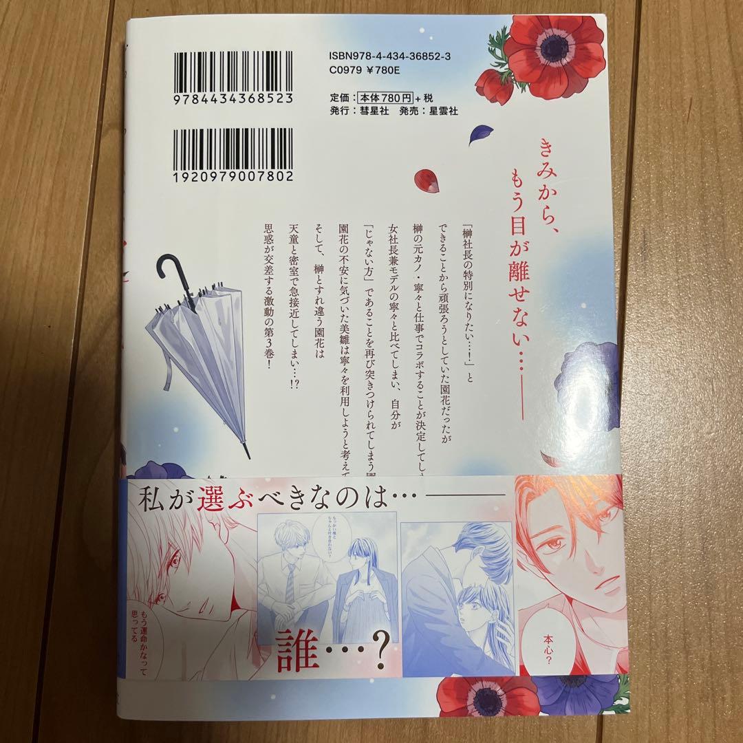 じゃない方、だけど愛され婚～契約婚の相手は一途すぎる社長3