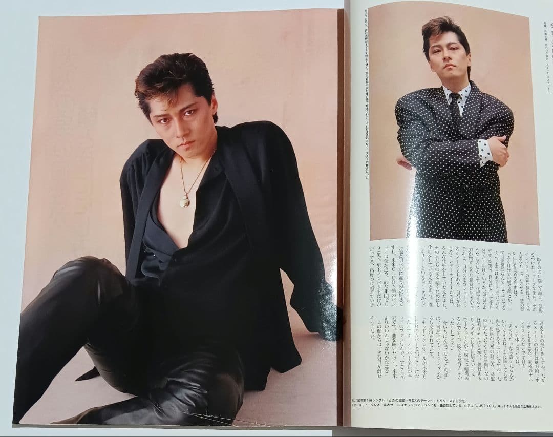 anan アンアン 1993年発行 真田広之 レア
