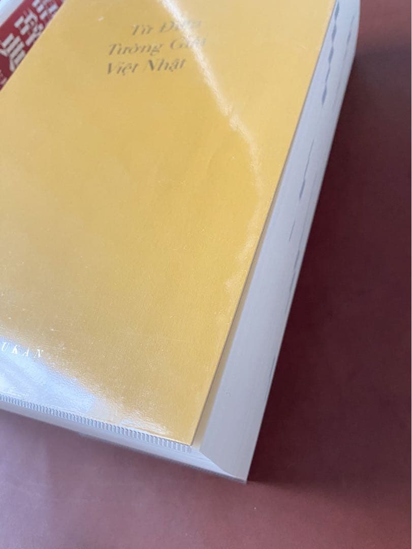 詳解ベトナム語辞典 美品