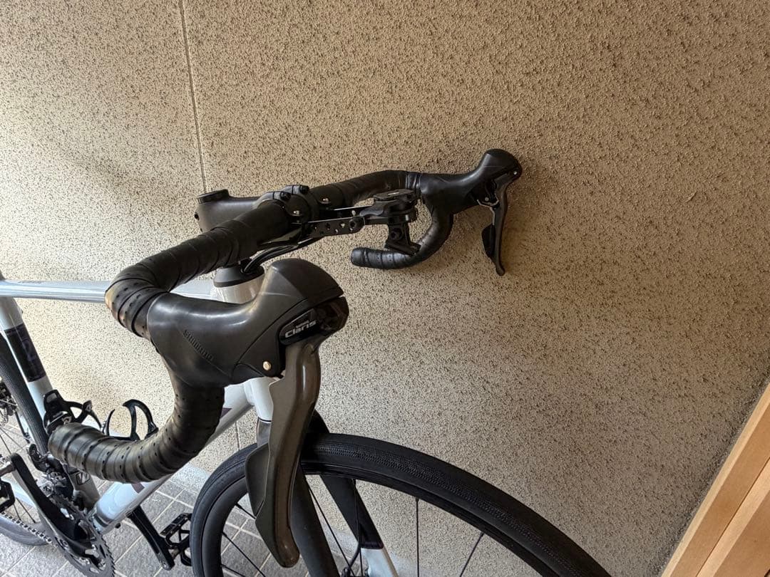 自転車本体 TREK Domane AL 2 Gen4