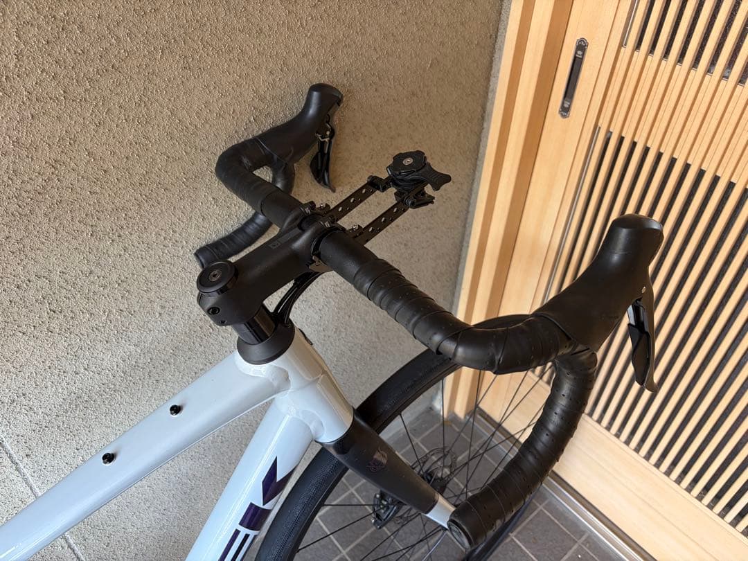 自転車本体 TREK Domane AL 2 Gen4