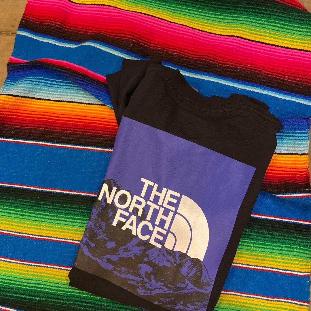 THE NORTH FACE ロングスリーブスリーブグラフィックティー