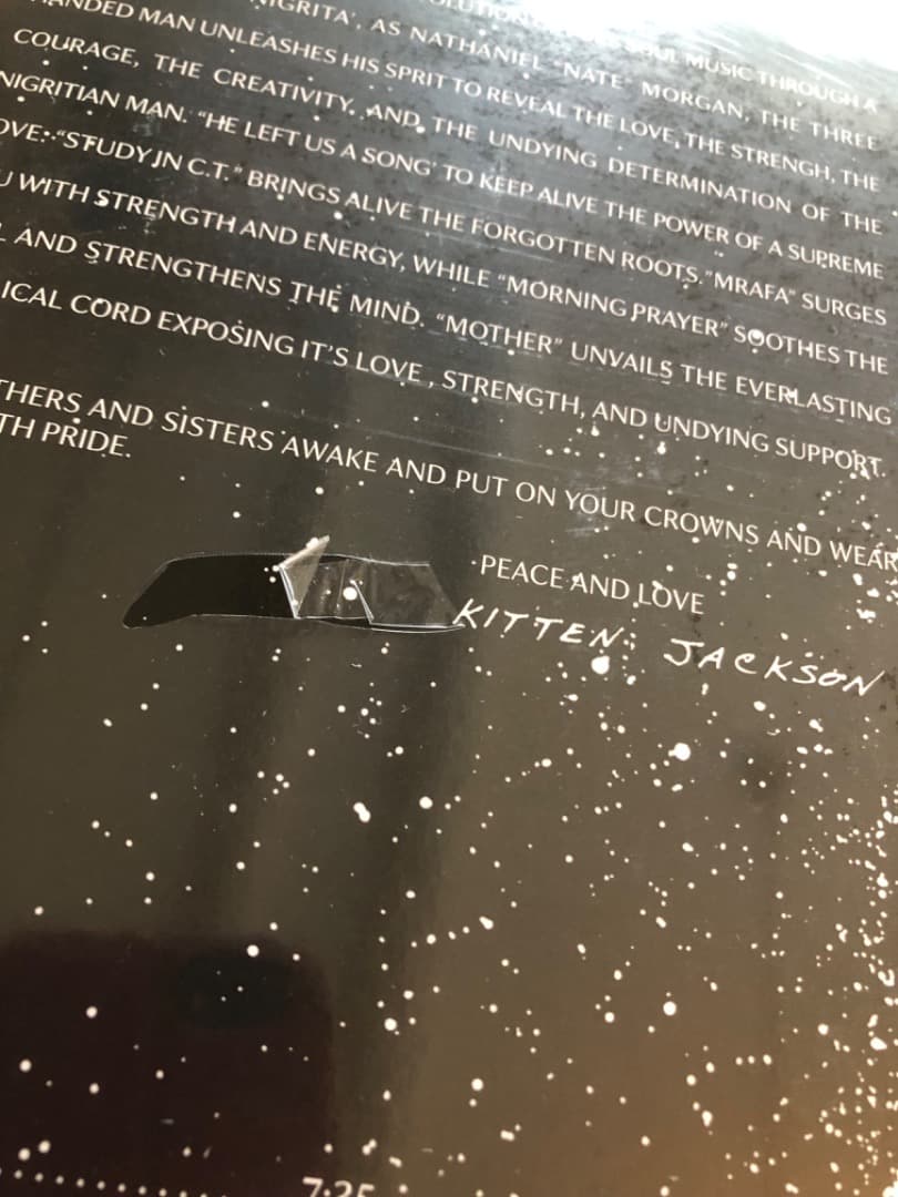 Nate Morgan / Journey Into Nigritia（LP）