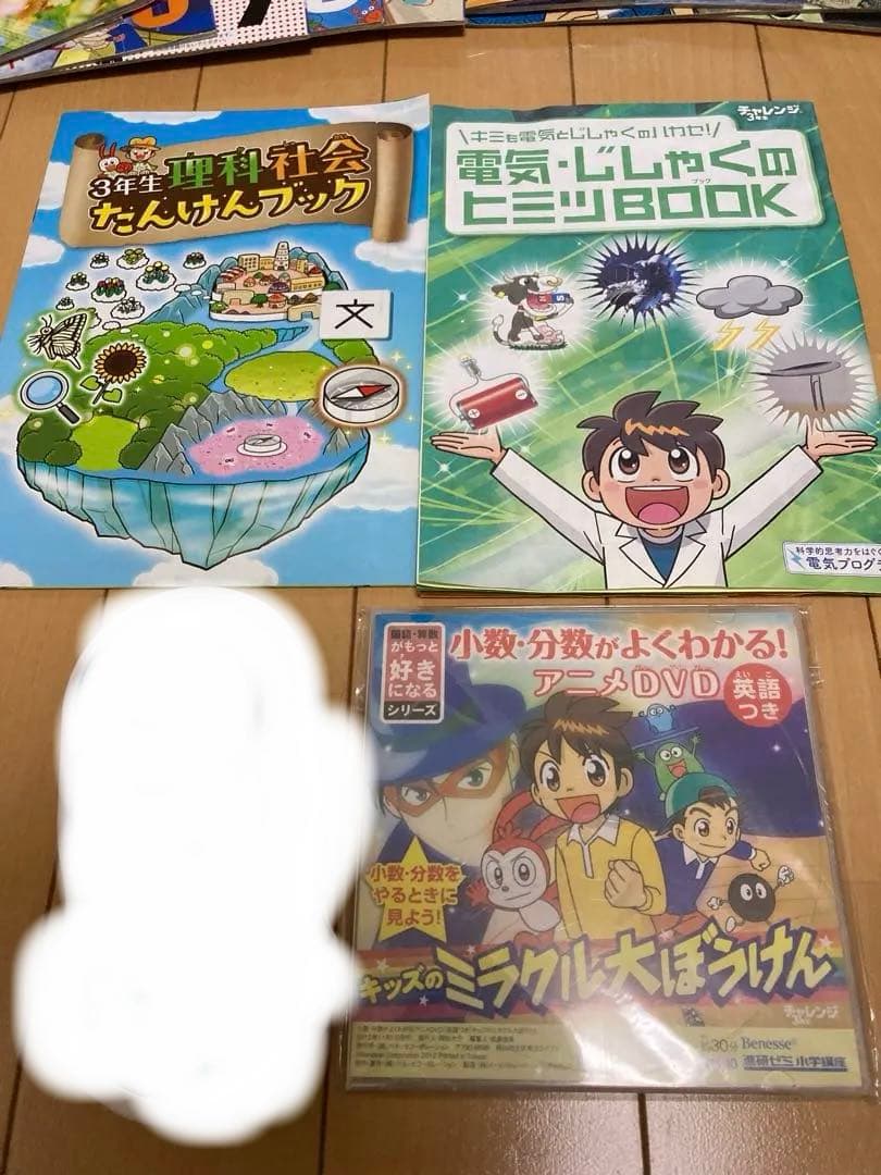 チャレンジ3年生 2023.4〜2024.3 進研ゼミ　まとめ売り
