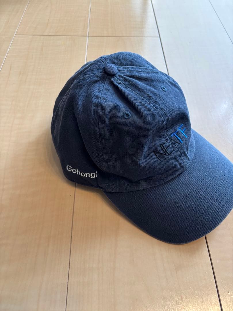 NEAT × TF gohongi 47 cap