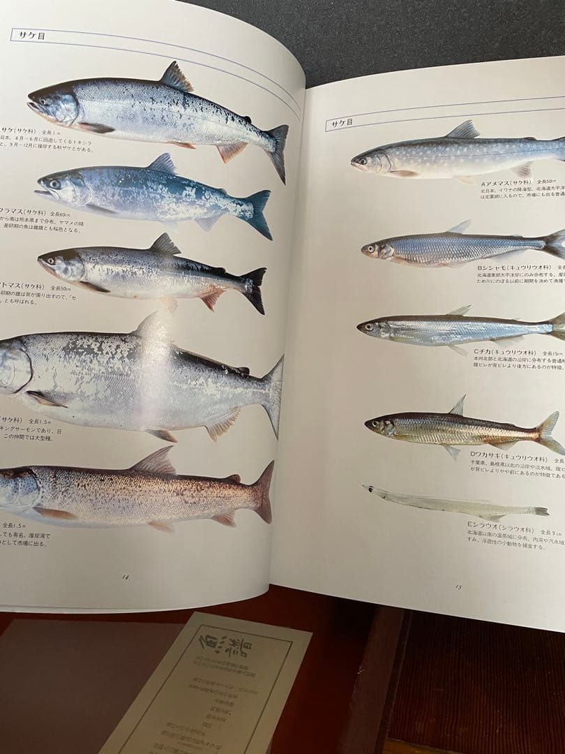 日本料理　魚器図館　捌き方、魚器種類 　　志の島忠　グラフ社刊
